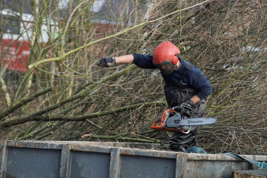 De boot in Berkel - Foto 16