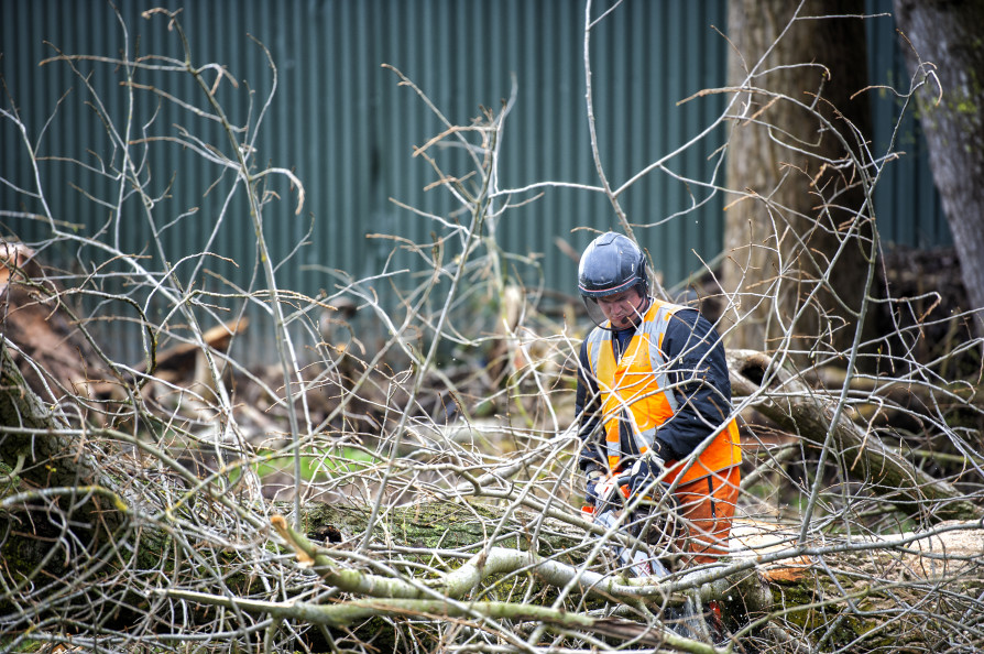 Leerling Boomrooier / boomverzorger (Stagiair / BBL)