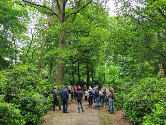 Meer dan zagen en snoeien: de rol van Weijtmans in publiek bos
