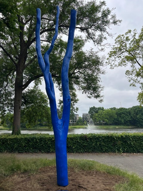 Een bijzondere blauwe boom