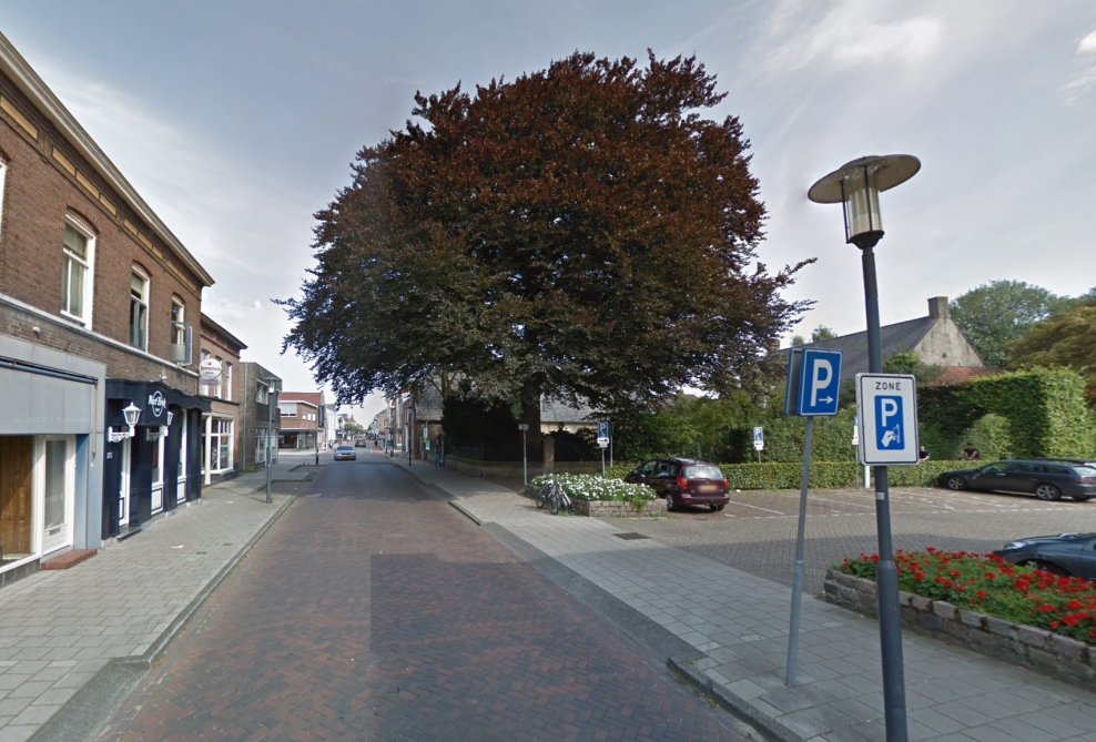 Monumentale rode beuk Grotestraat Waalwijk - Foto 1