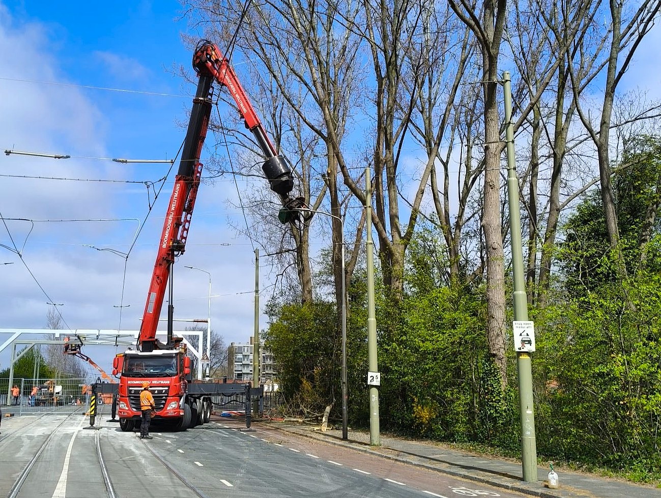 Weijtmans start grootschalige bomenkap in Den Haag - Foto 1