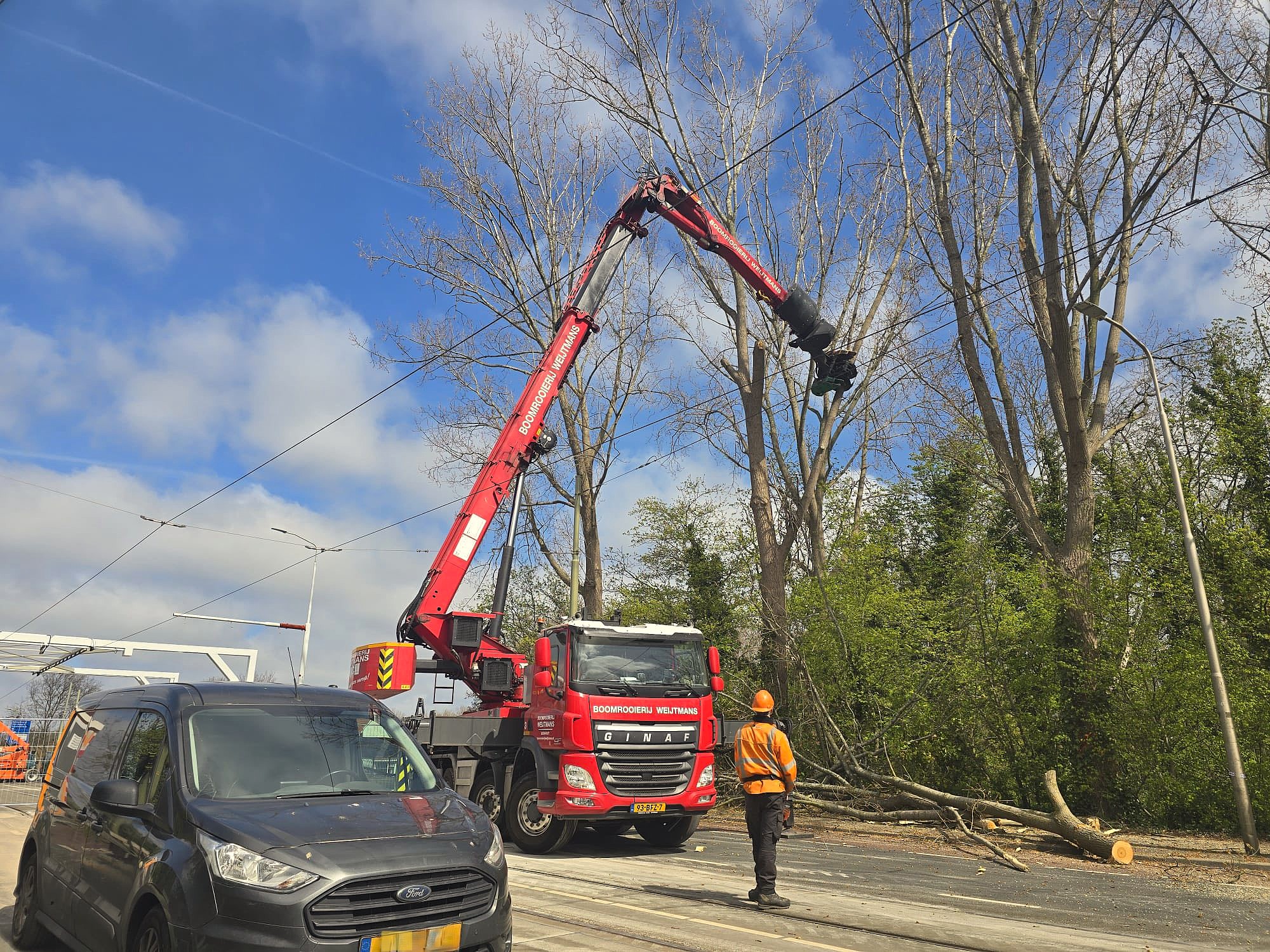 Weijtmans start grootschalige bomenkap in Den Haag