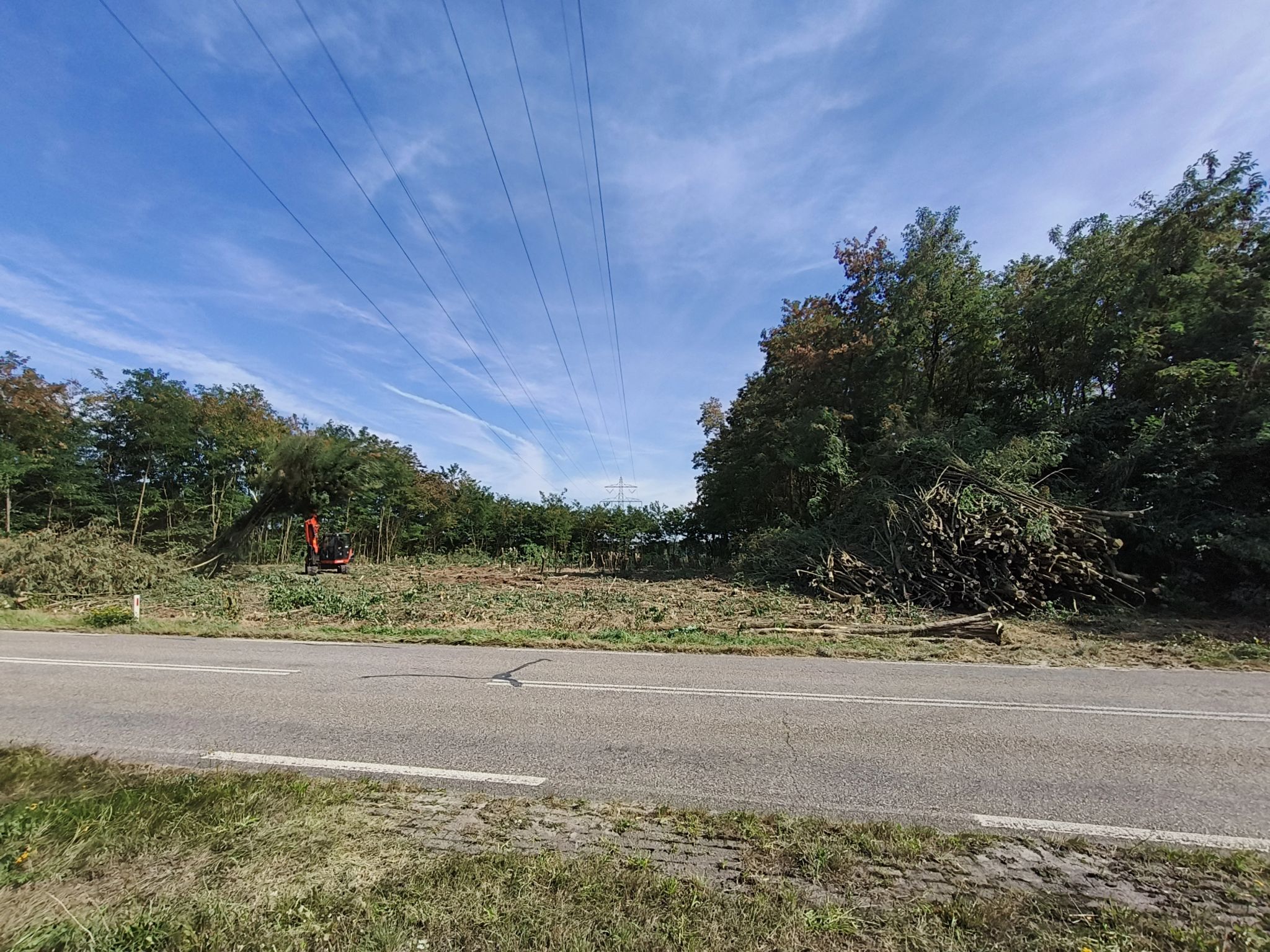 Groenbeheer TenneT zorgvuldige spanning - Foto 3