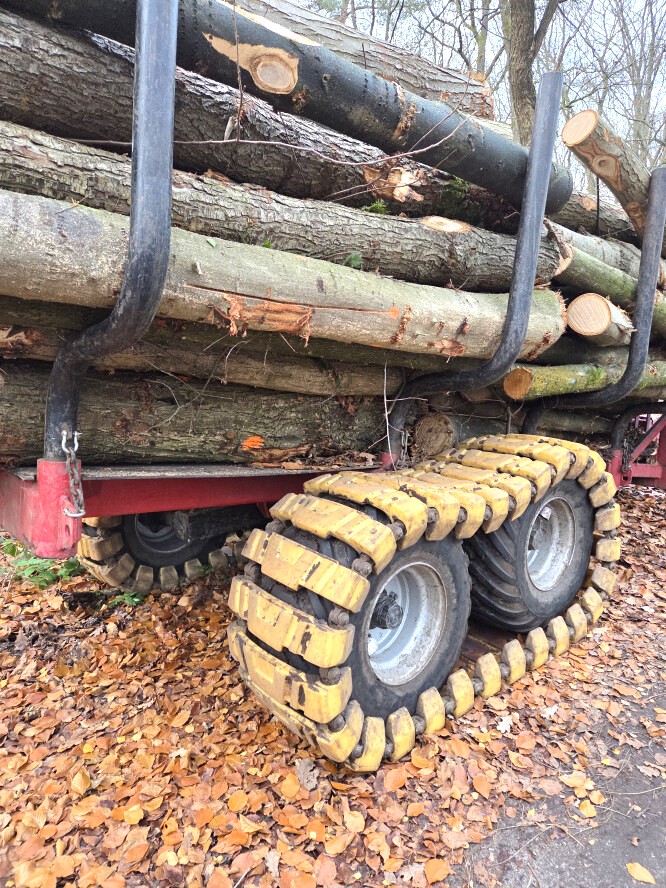 Bosbeheer en publieksvoorlichting in Tilburg - Foto 9