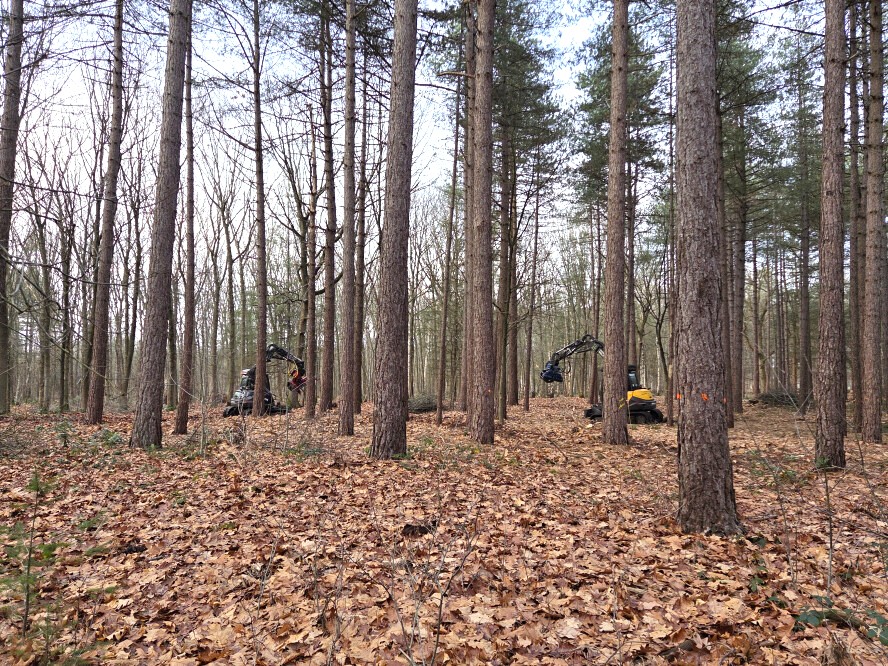 Bosbeheer en publieksvoorlichting in Tilburg - Foto 6