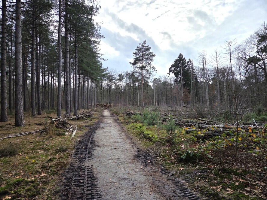 Bosbeheer en publieksvoorlichting in Tilburg - Foto 4