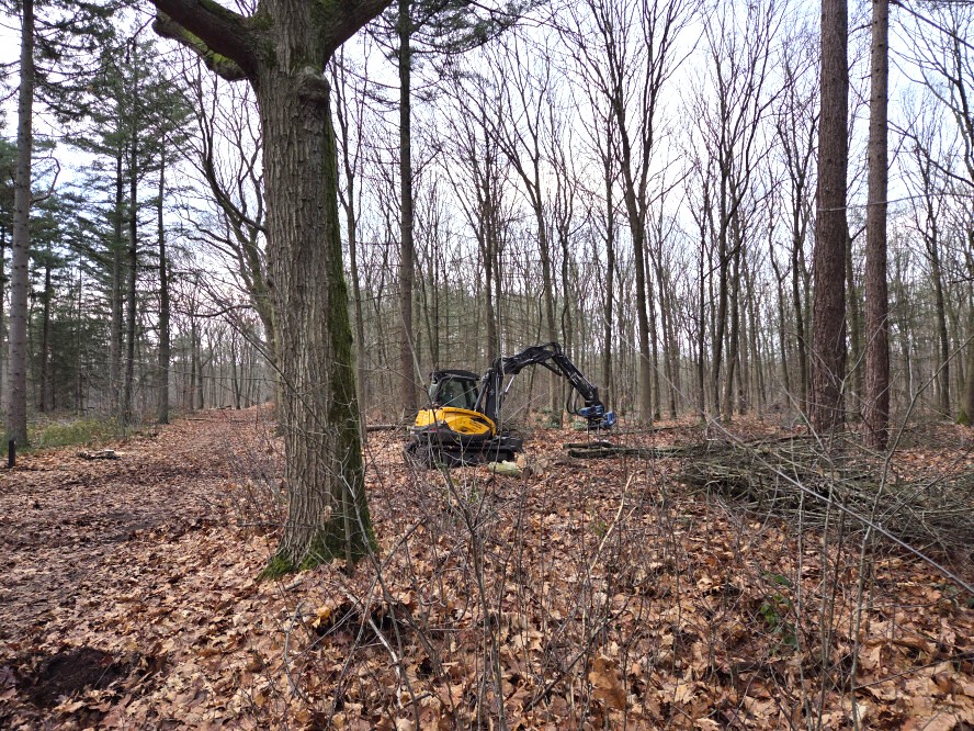 Bosbeheer en publieksvoorlichting in Tilburg - Foto 8