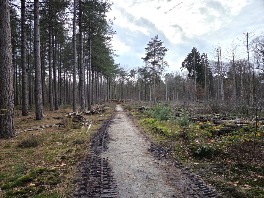 Bosbeheer en publieksvoorlichting in Tilburg - Foto 11