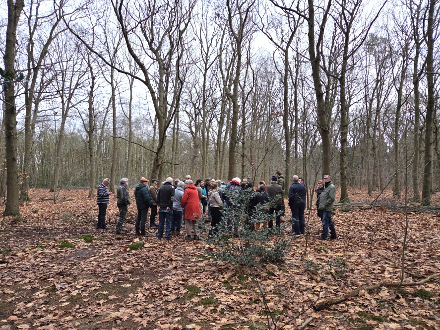 Bosbeheer en publieksvoorlichting in Tilburg - Foto 13