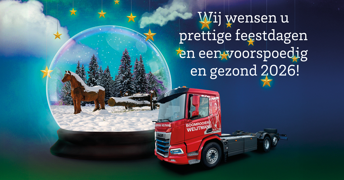 Fijne feestdagen en een voorspoedig en gezond 2026!
