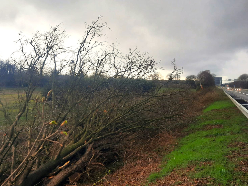 Project A67 Geluidscherm - Foto 4