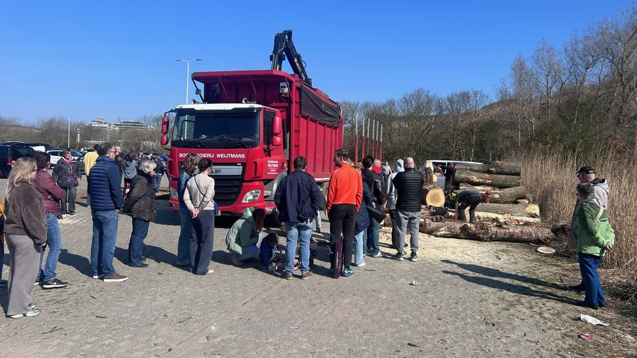 Hout Ophaaldag Den Haag