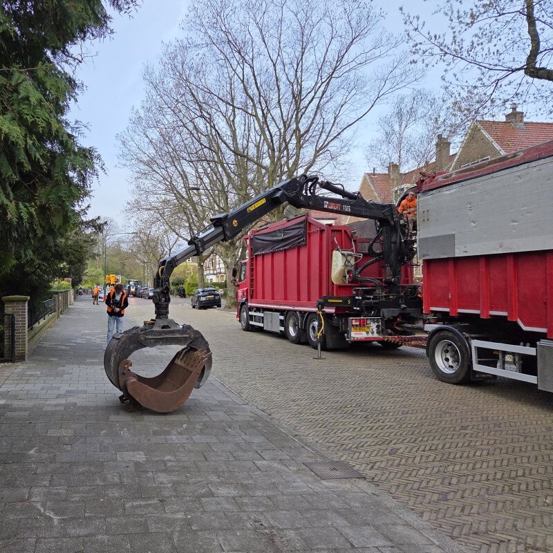 Vervangen zomereik Voorburg - Foto 2