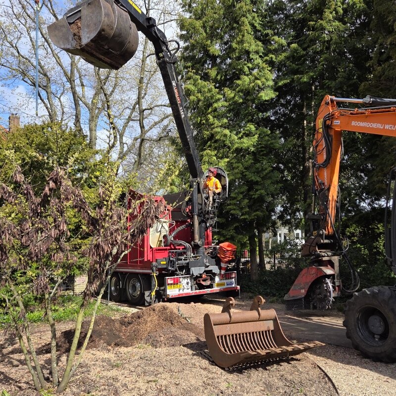 Vervangen zomereik Voorburg - Foto 8