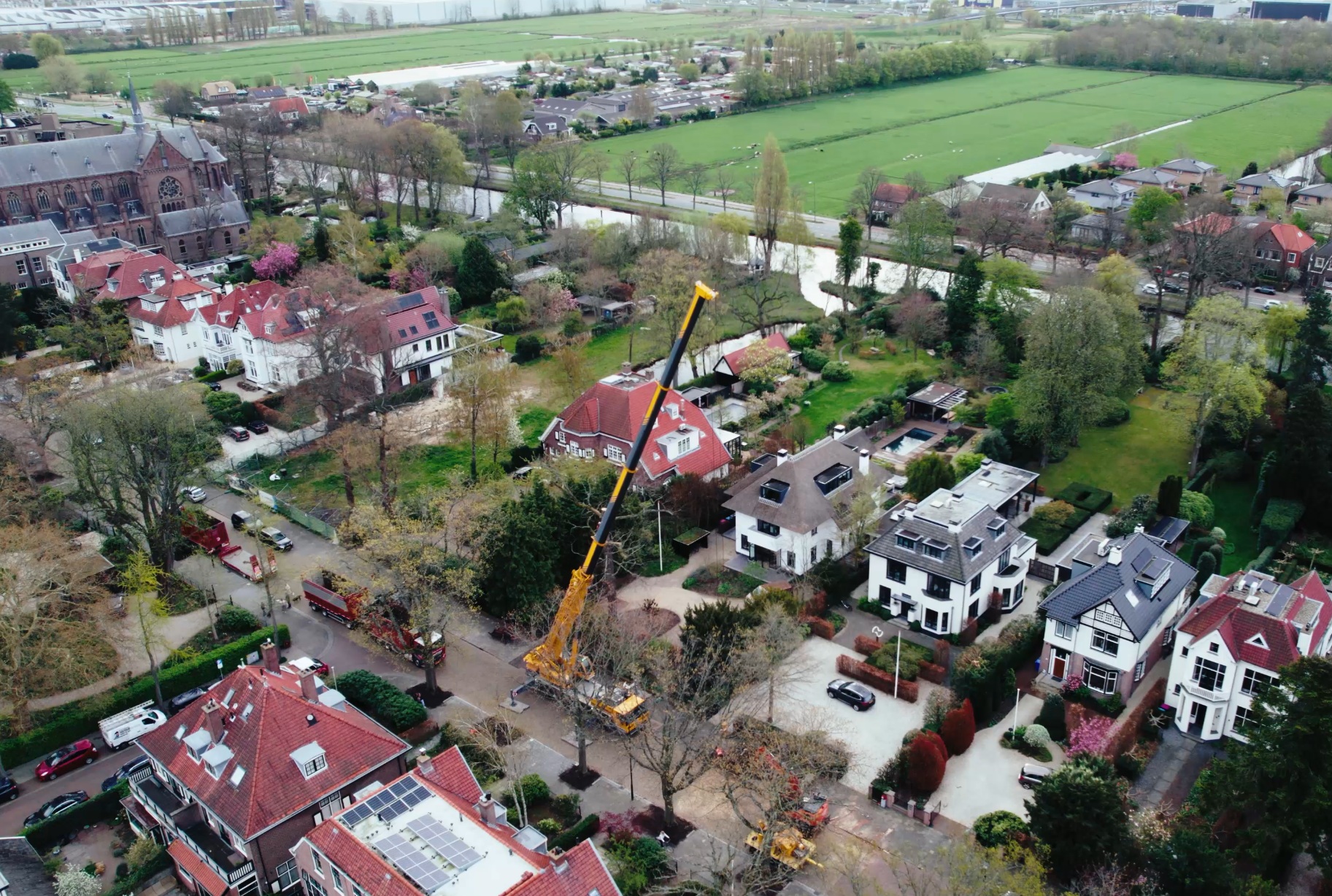 Vervangen zomereik Voorburg
