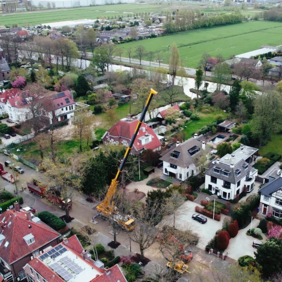 Vervangen zomereik Voorburg