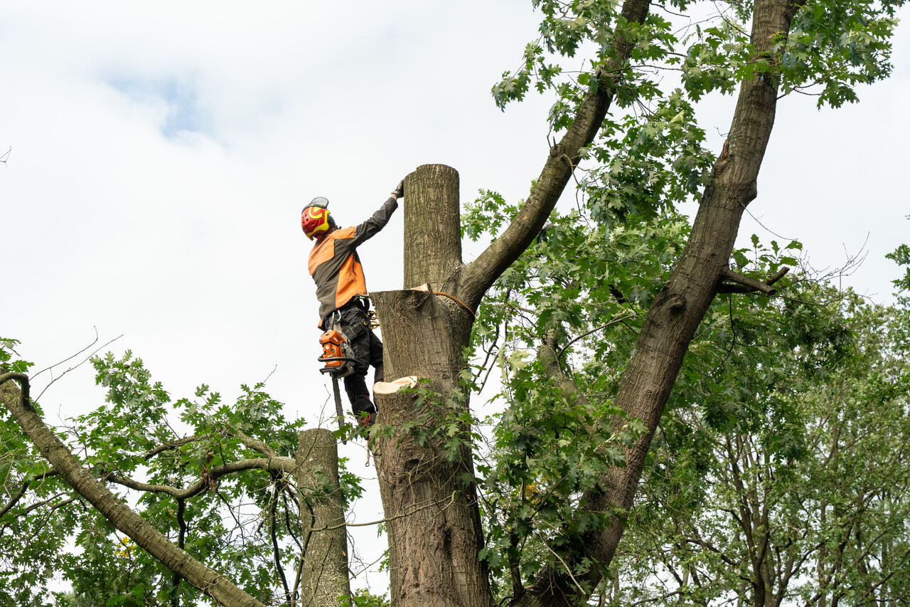 Vught verdiept - Foto 13