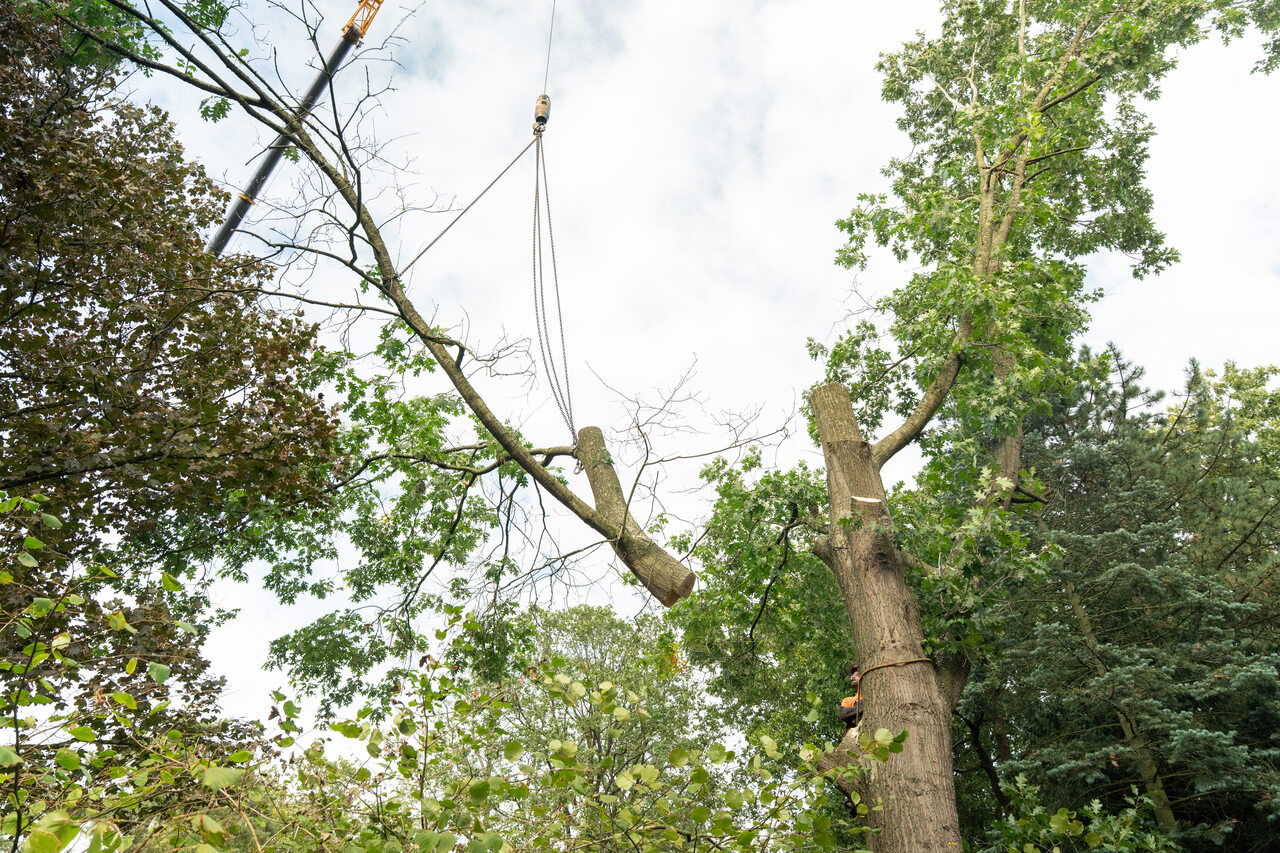 Vught verdiept - Foto 14