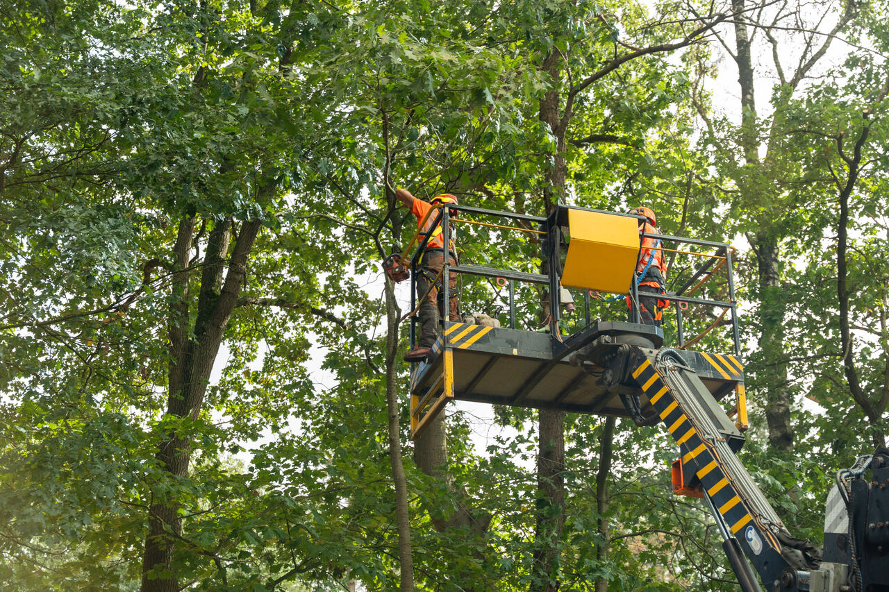 Vught verdiept - Foto 17