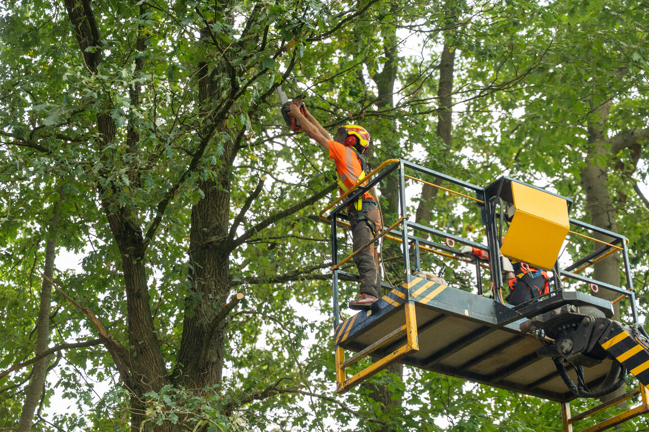 Vught verdiept - Foto 18