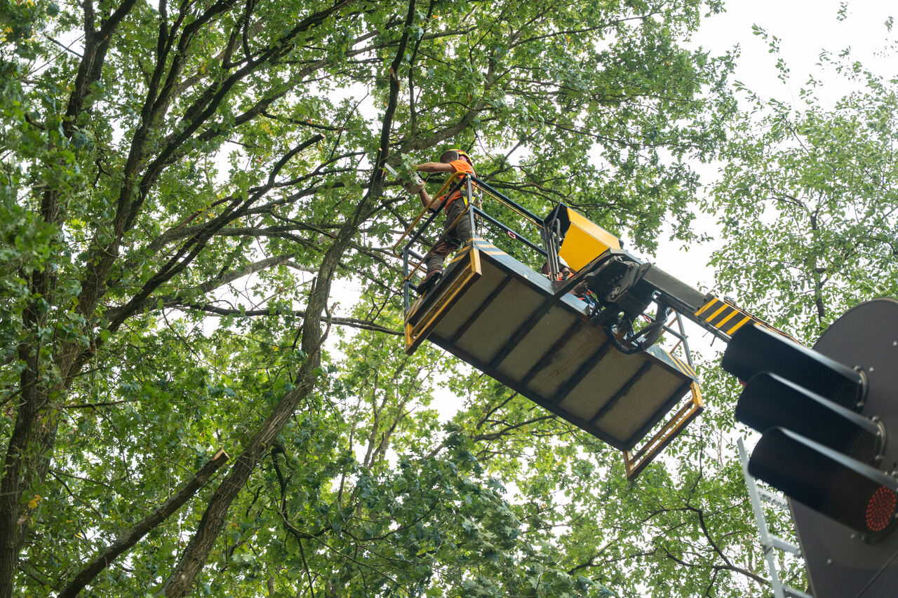 Vught verdiept - Foto 20