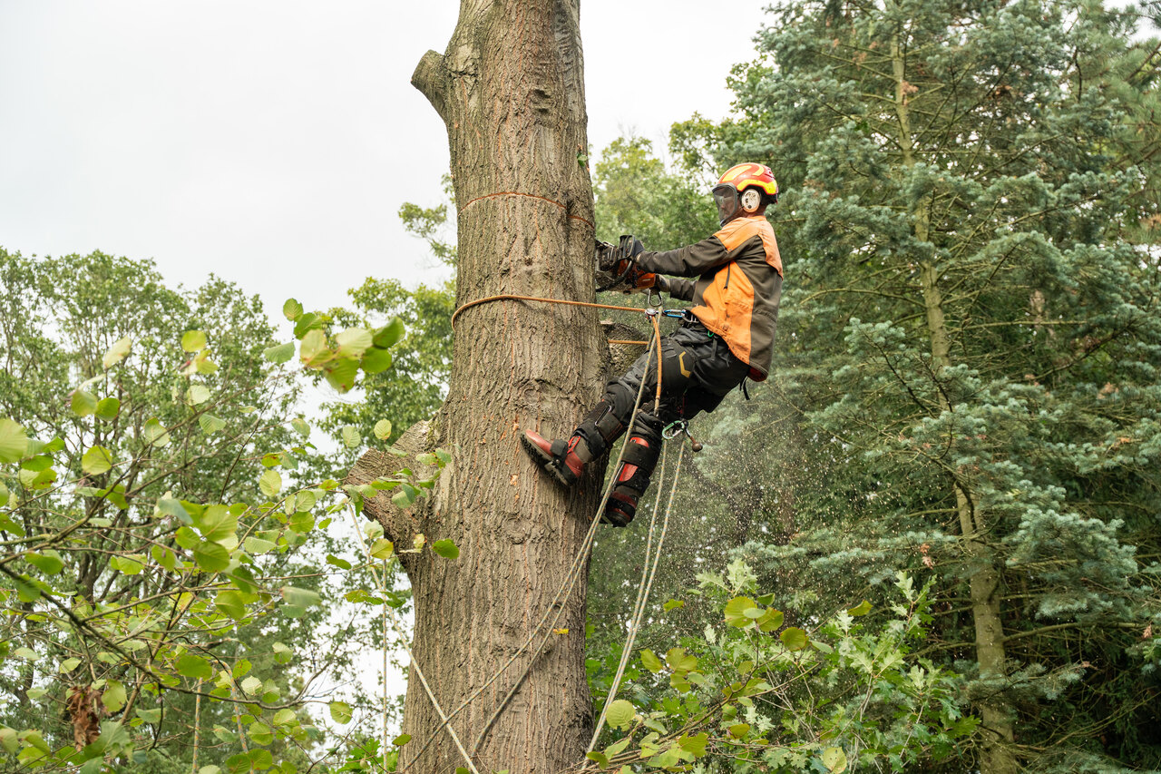 Vught verdiept - Foto 21