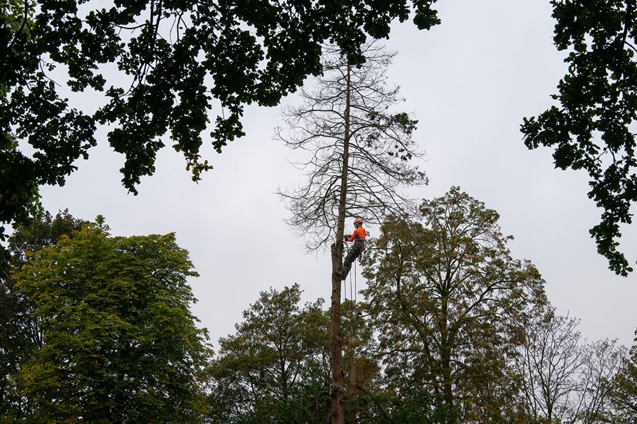 Peerke Donderspark Tilburg - Foto 1