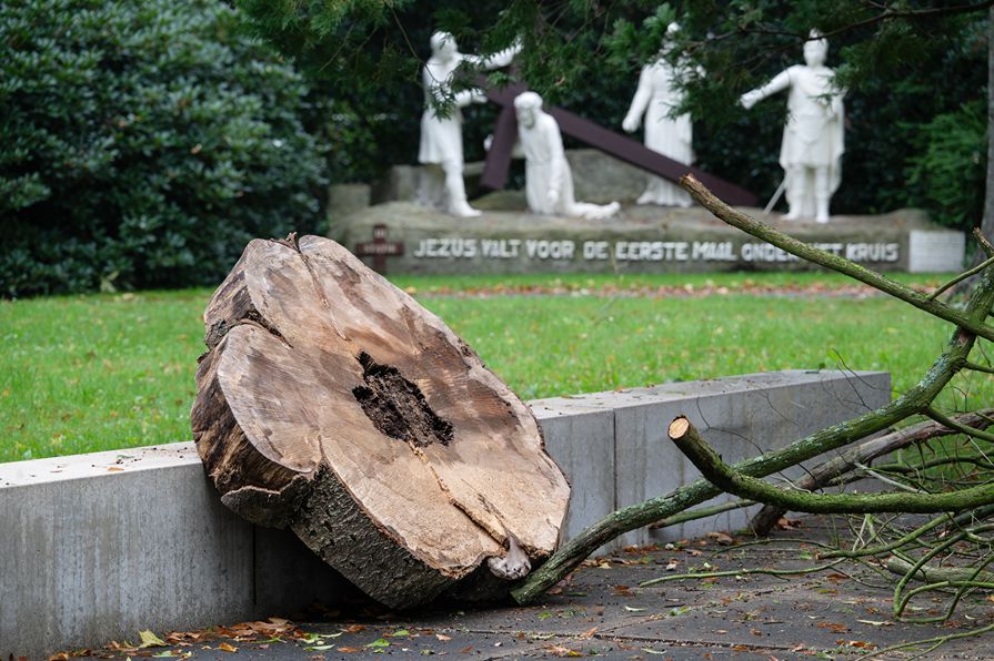 Peerke Donderspark Tilburg - Foto 12