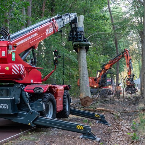 Bomen rooien Oisterwijk
