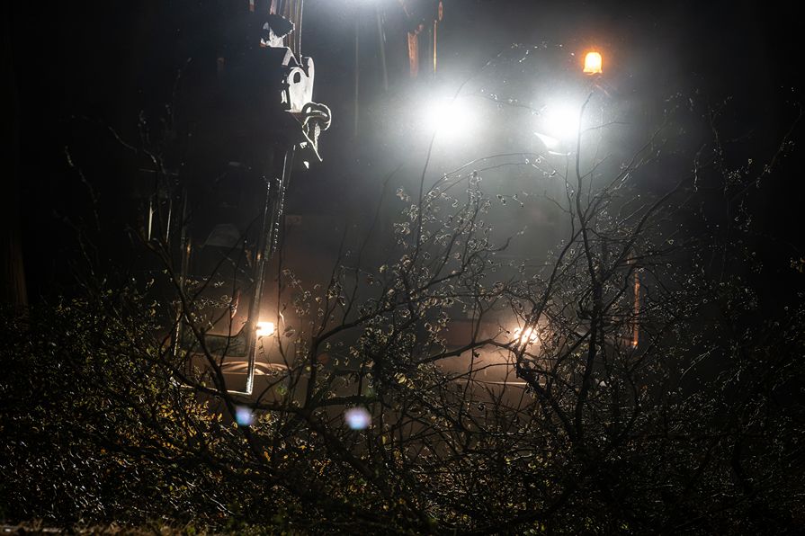 Bomen rooien Oisterwijk - Foto 4
