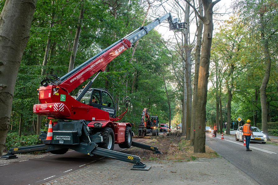 Bomen rooien Oisterwijk - Foto 2