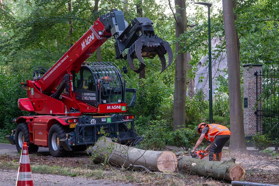 Bomen rooien Oisterwijk - Foto 10