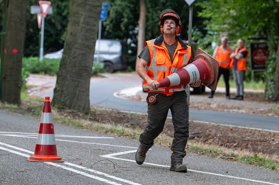 Bomen rooien Oisterwijk - Foto 11