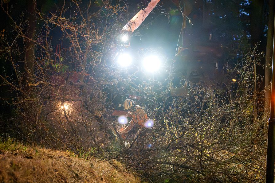 Bomen rooien Oisterwijk - Foto 6