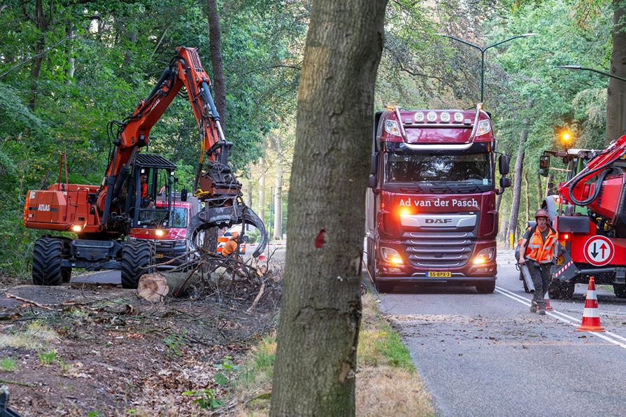 Bomen rooien Oisterwijk - Foto 14