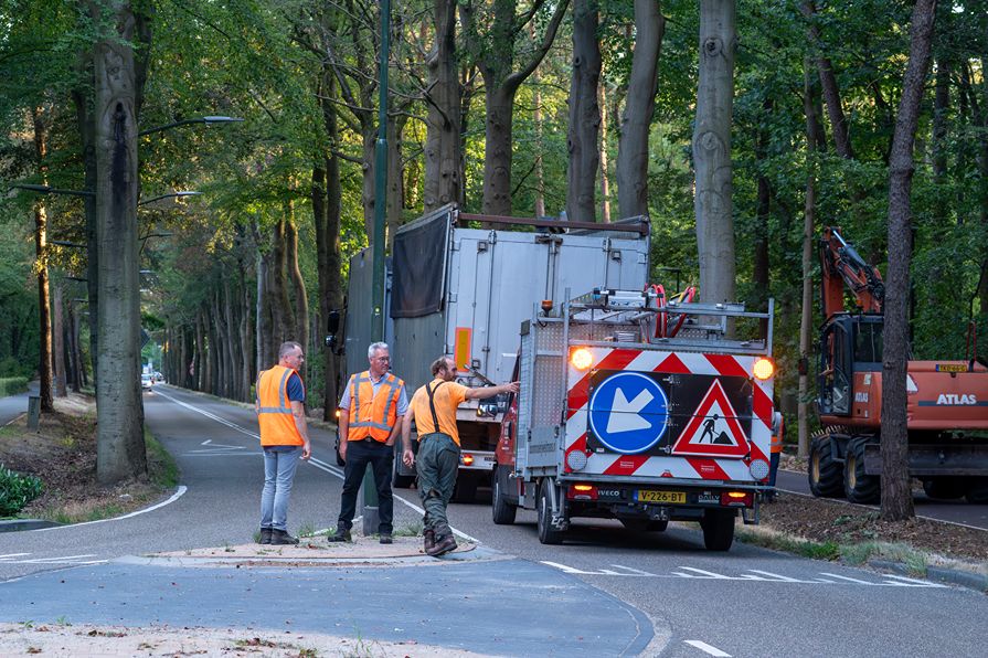 Bomen rooien Oisterwijk - Foto 16