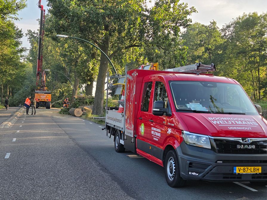 Woerden Populieren langs drukke weg - Foto 2