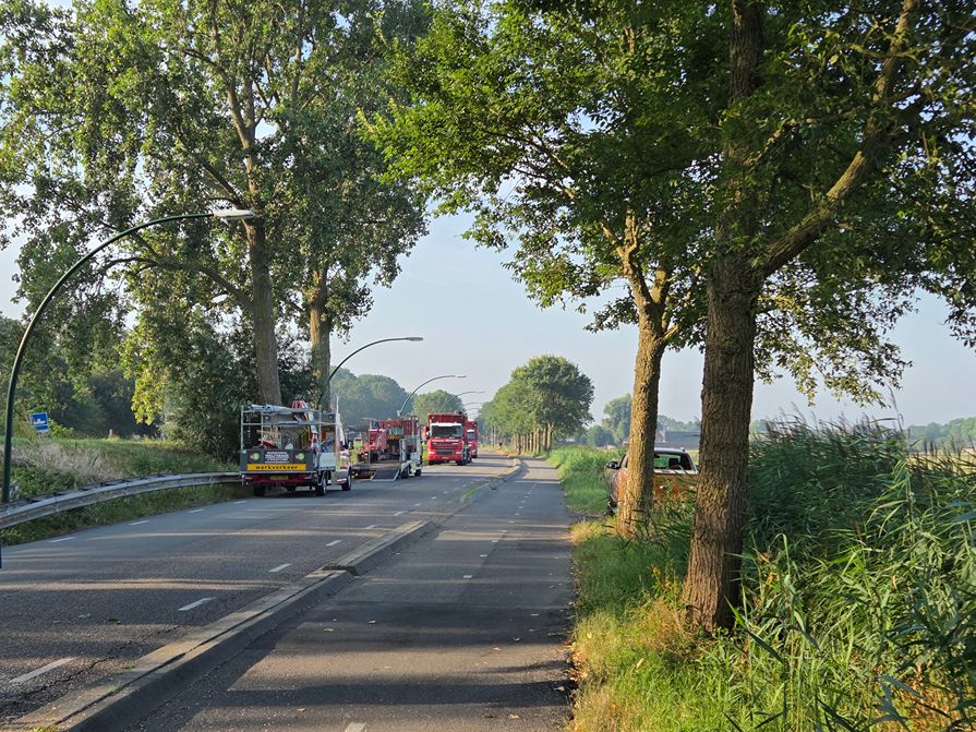 Woerden Populieren langs drukke weg - Foto 5