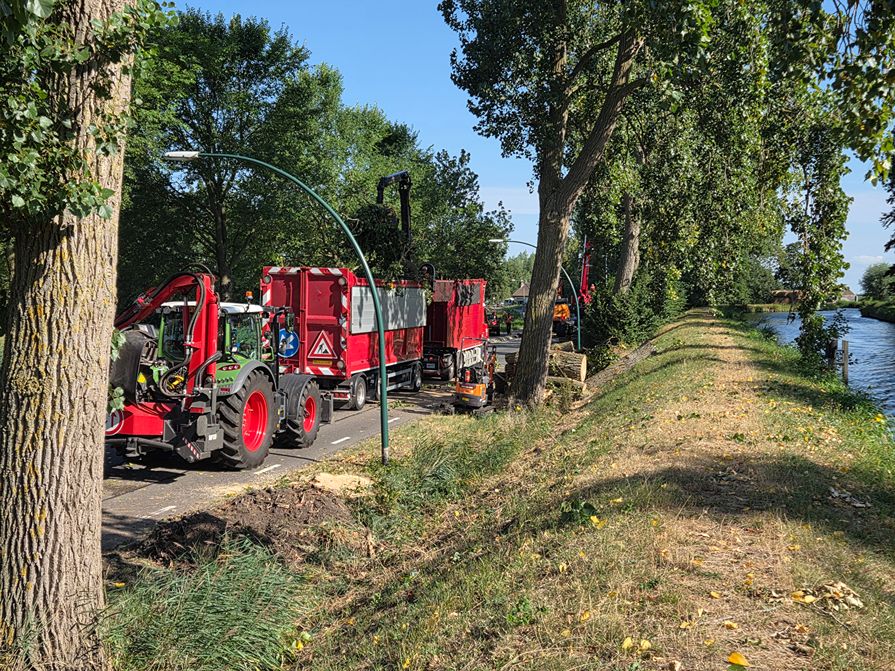 Woerden Populieren langs drukke weg - Foto 13