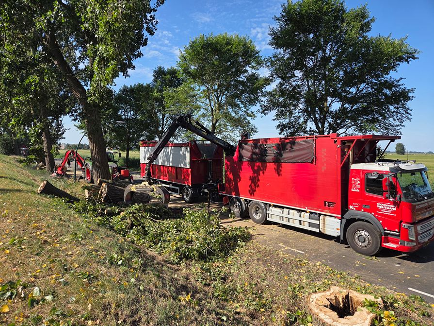 Woerden Populieren langs drukke weg - Foto 14