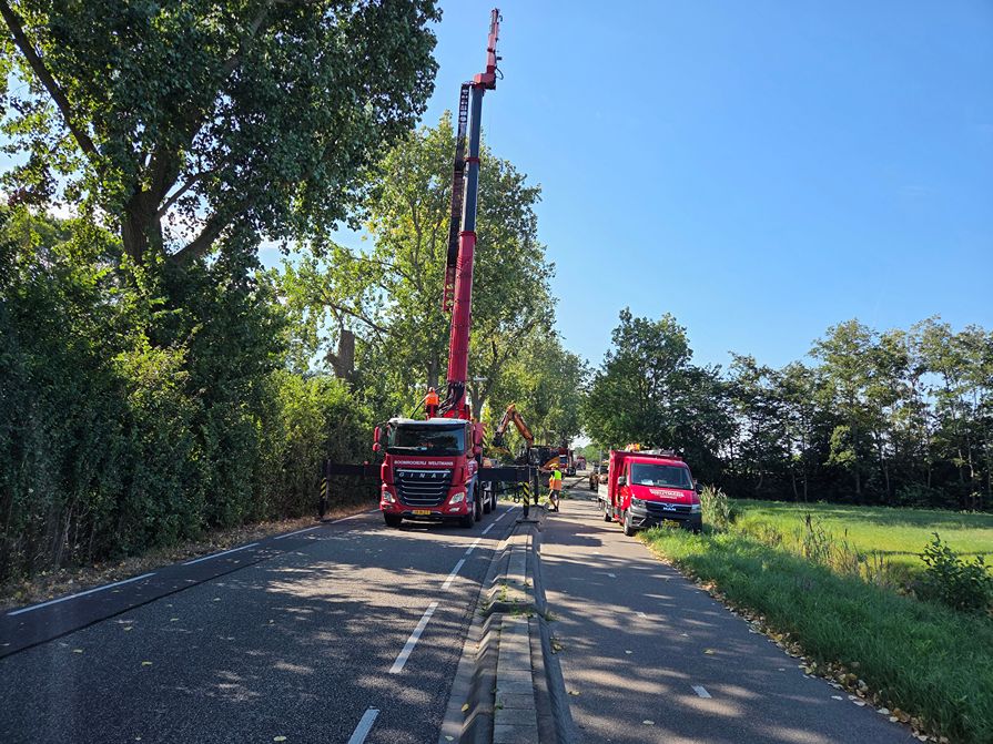 Woerden Populieren langs drukke weg - Foto 18