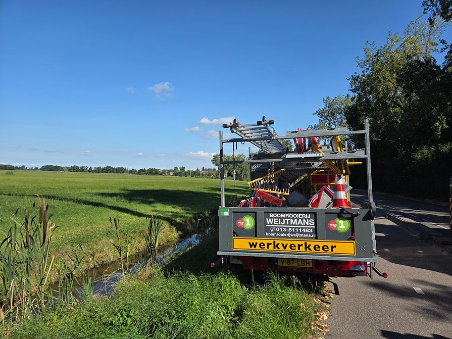 Woerden Populieren langs drukke weg - Foto 20