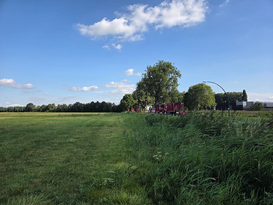 Woerden Populieren langs drukke weg - Foto 28