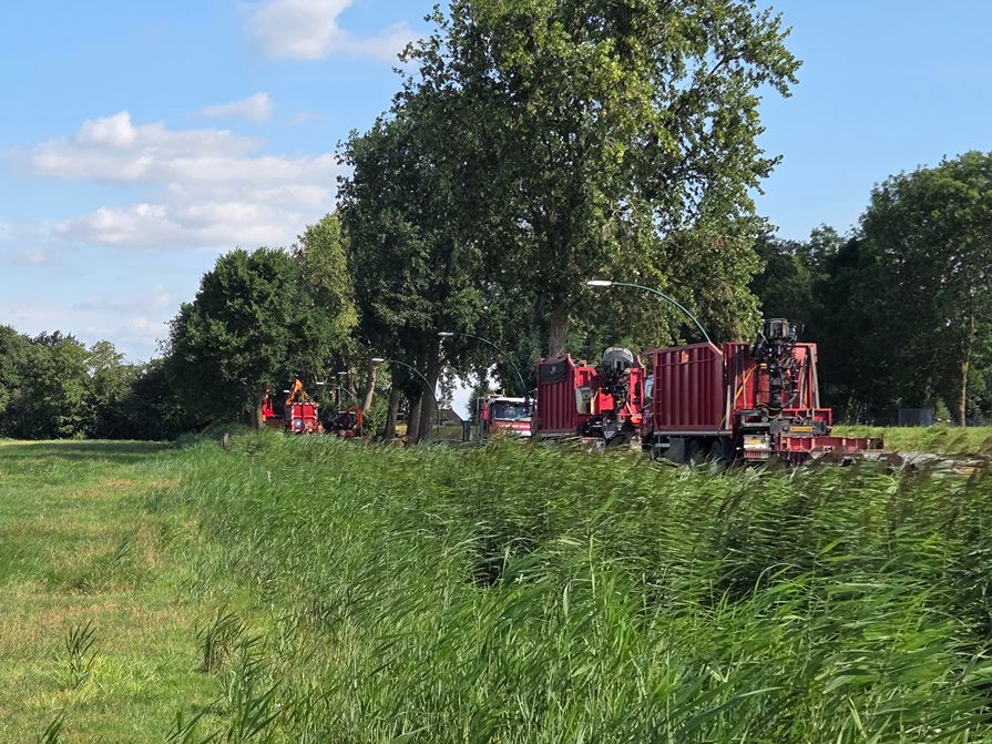 Woerden Populieren langs drukke weg - Foto 27