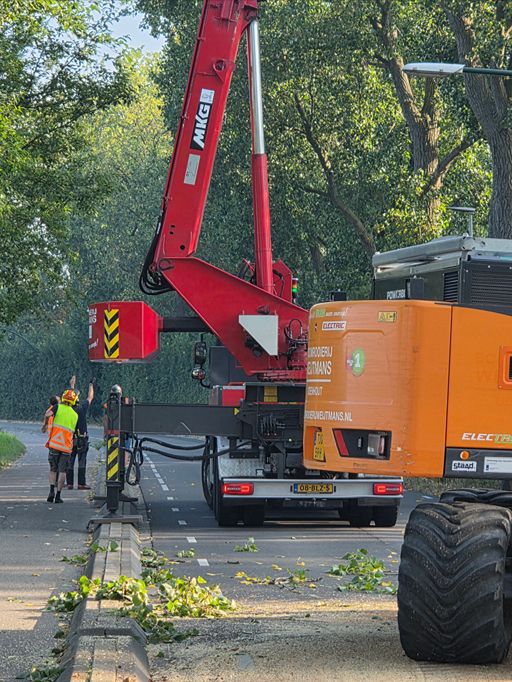 Woerden Populieren langs drukke weg - Foto 23