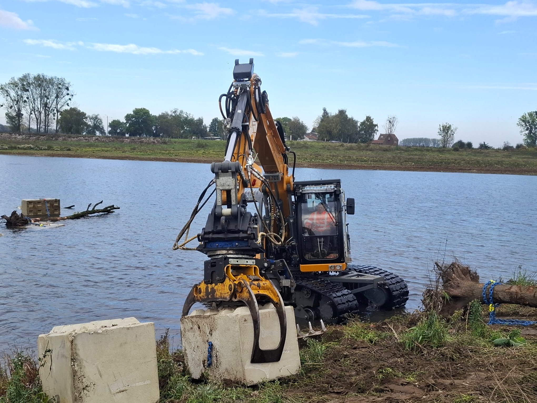 Rivierbomen in de Maas - Foto 2