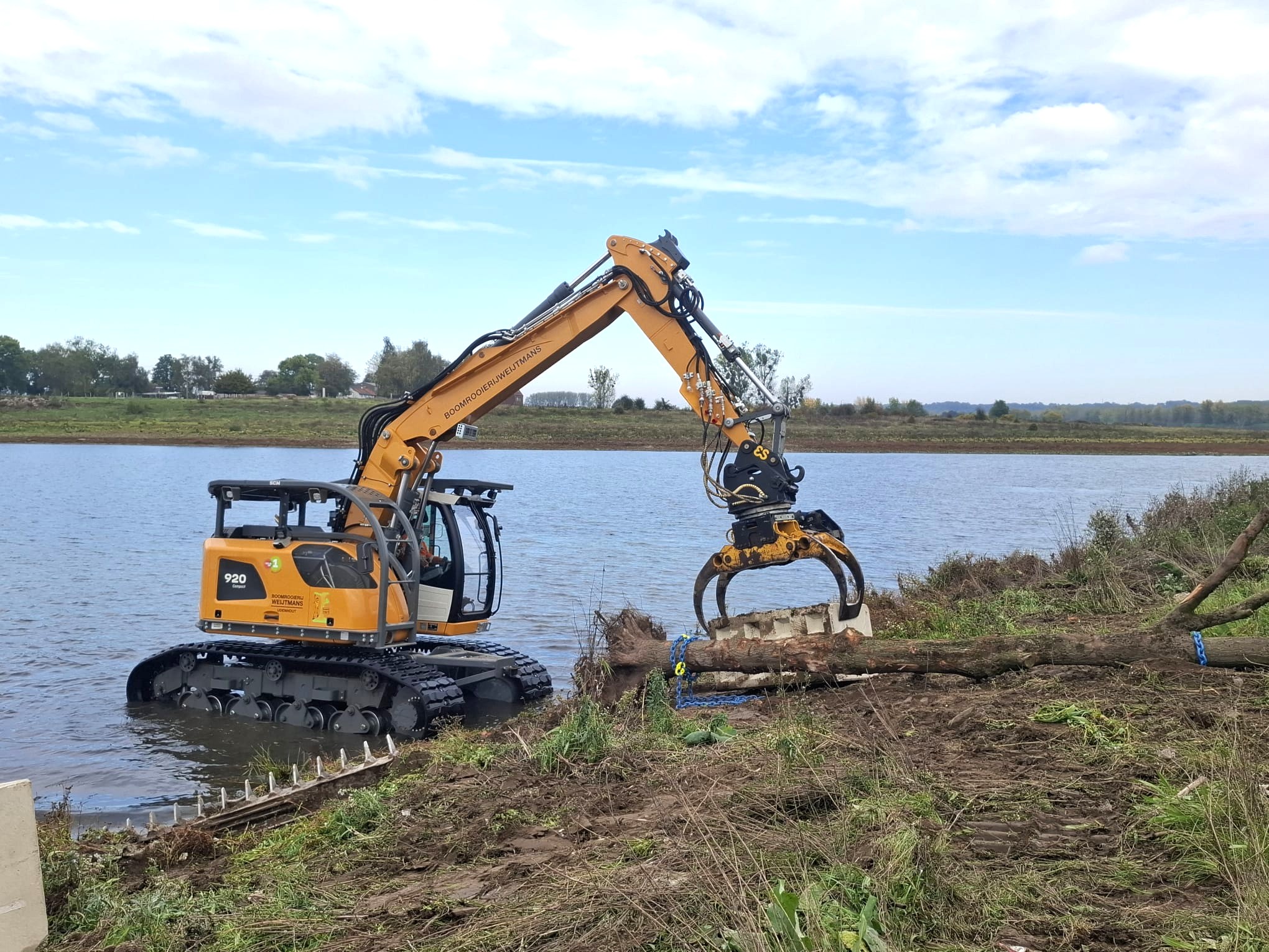 Rivierbomen in de Maas - Foto 4