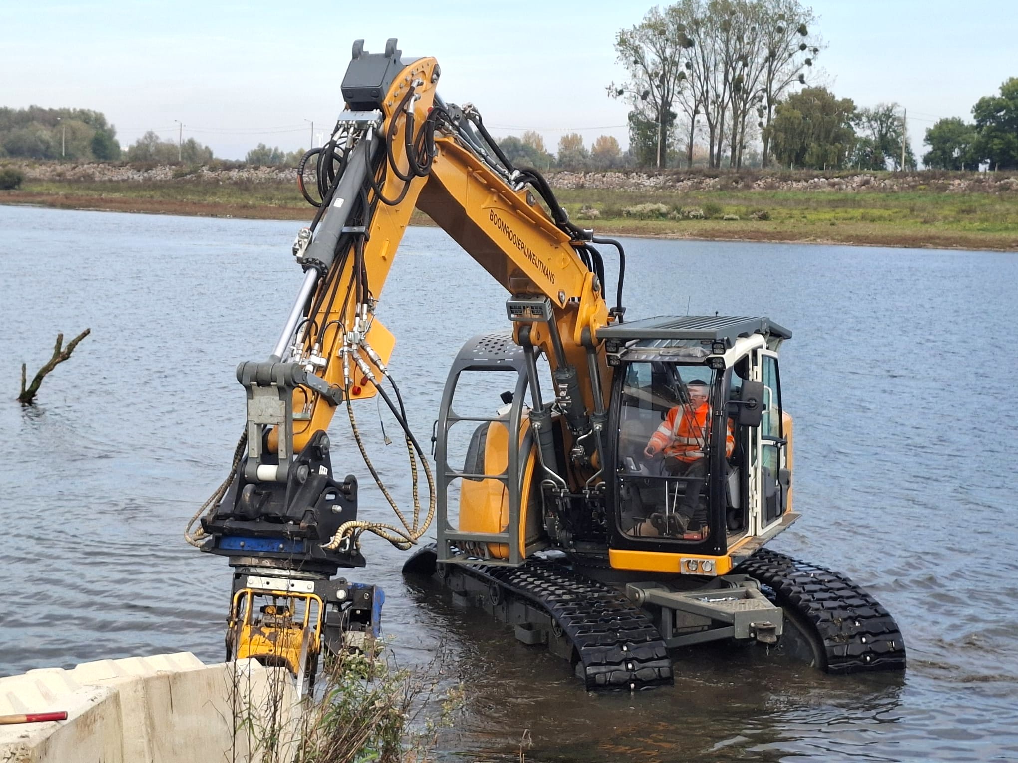 Rivierbomen in de Maas - Foto 7