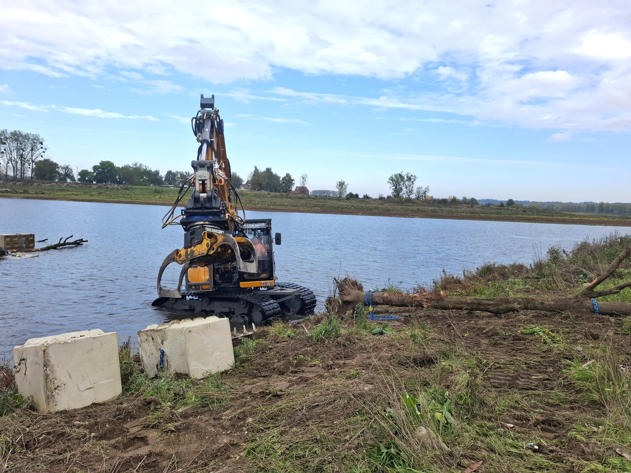 Rivierbomen in de Maas - Foto 1